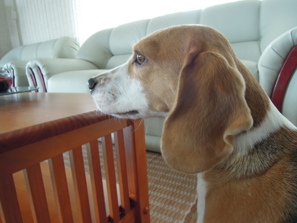 DSCN0639.jpg