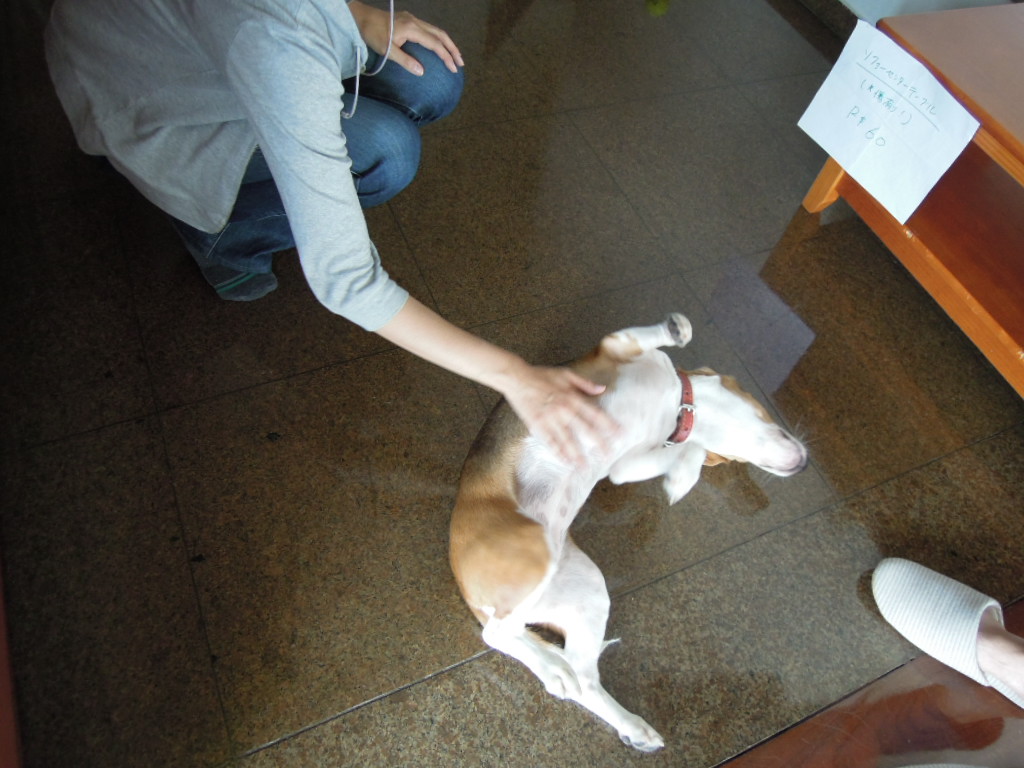 DSCN0705.jpg