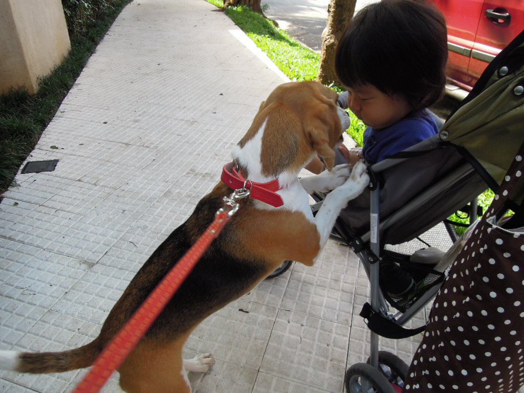 DSCN0718.jpg