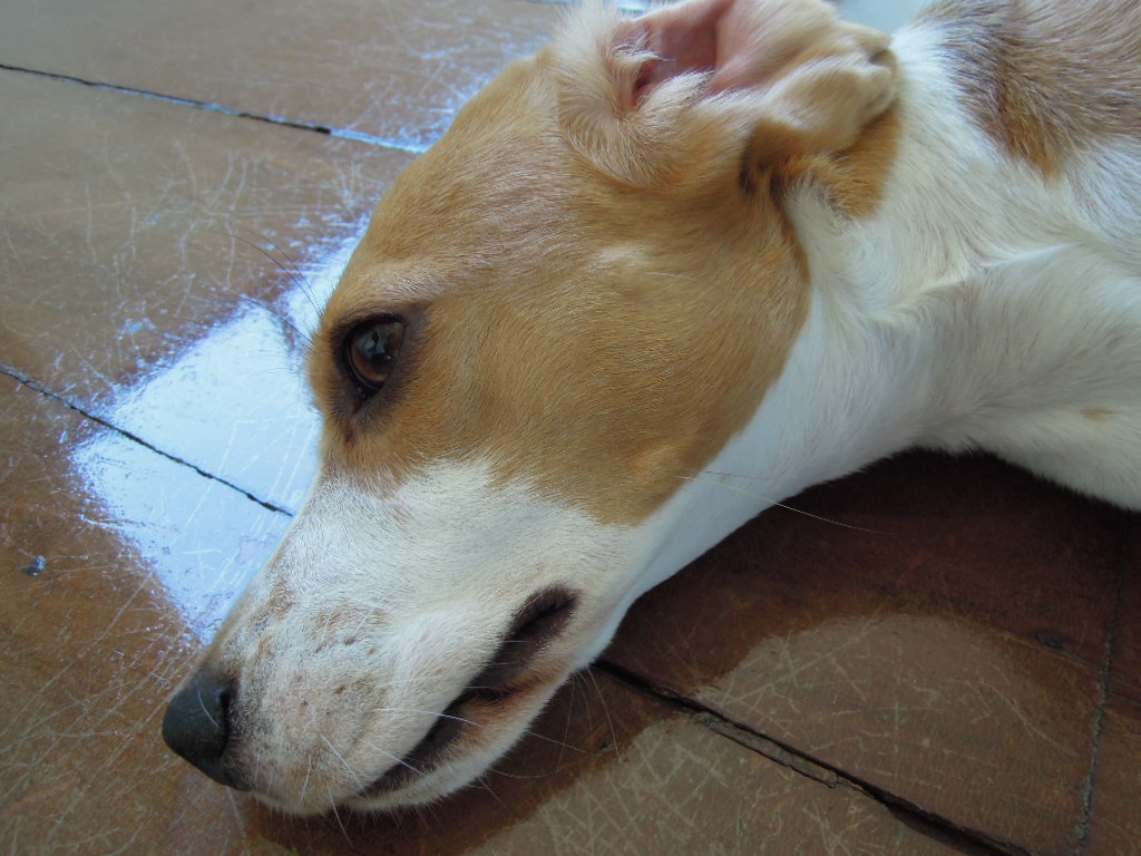 DSCN0725.jpg