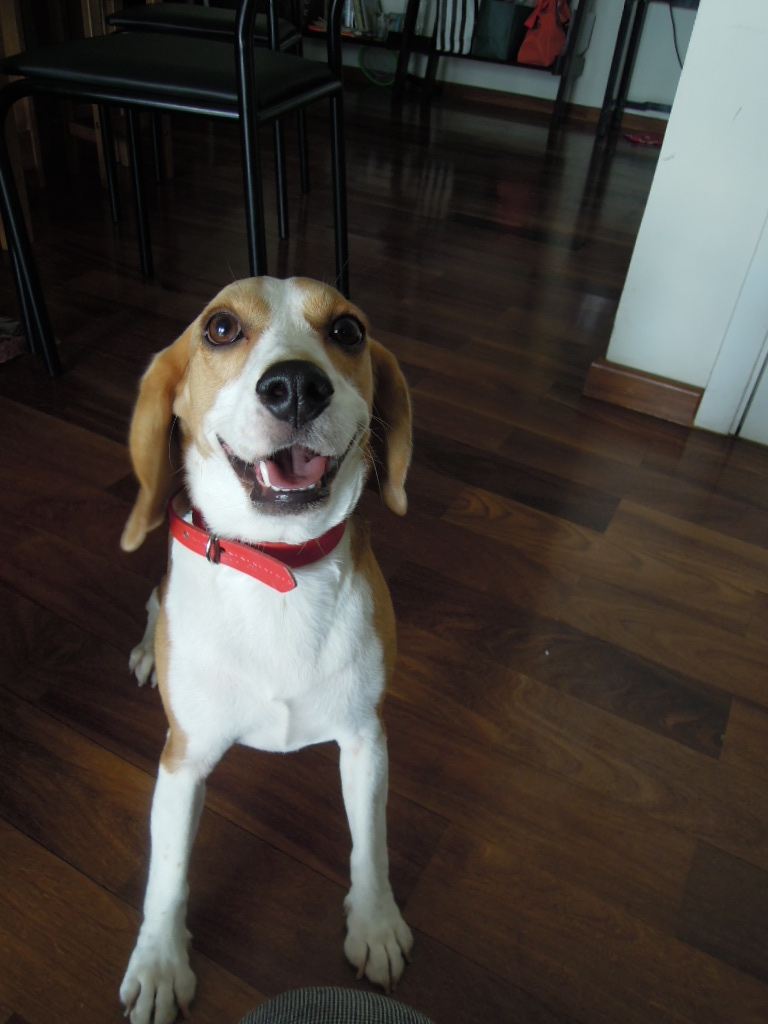 DSCN0879.jpg
