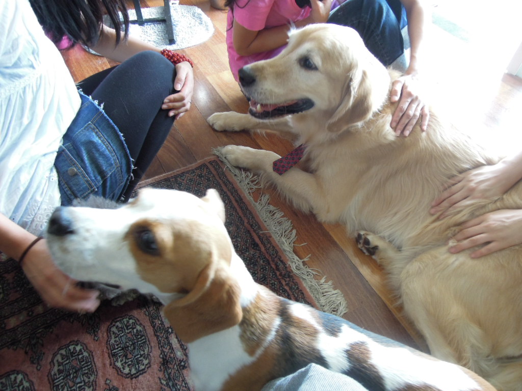 DSCN0885.jpg