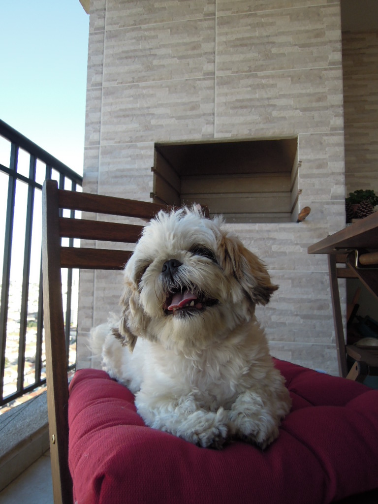 DSCN7745.jpg