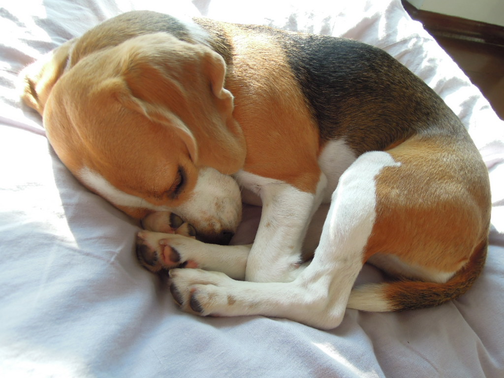 DSCN7810.jpg