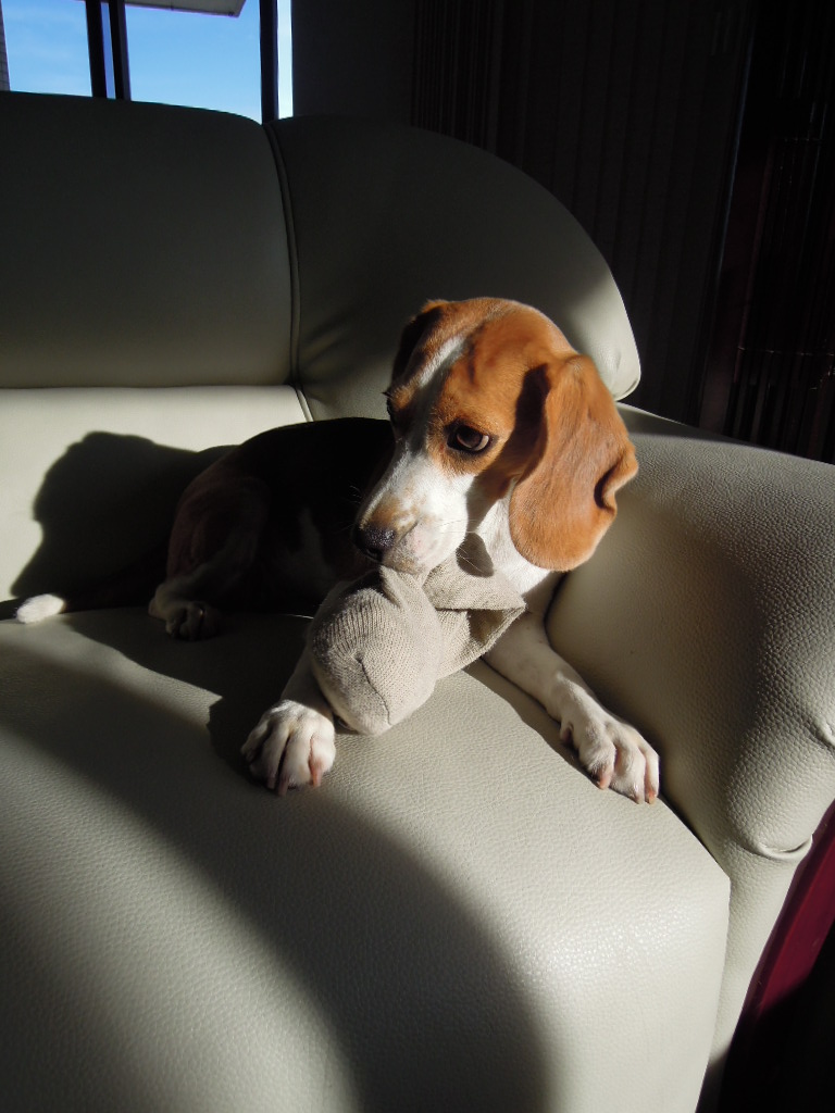 DSCN7816.jpg