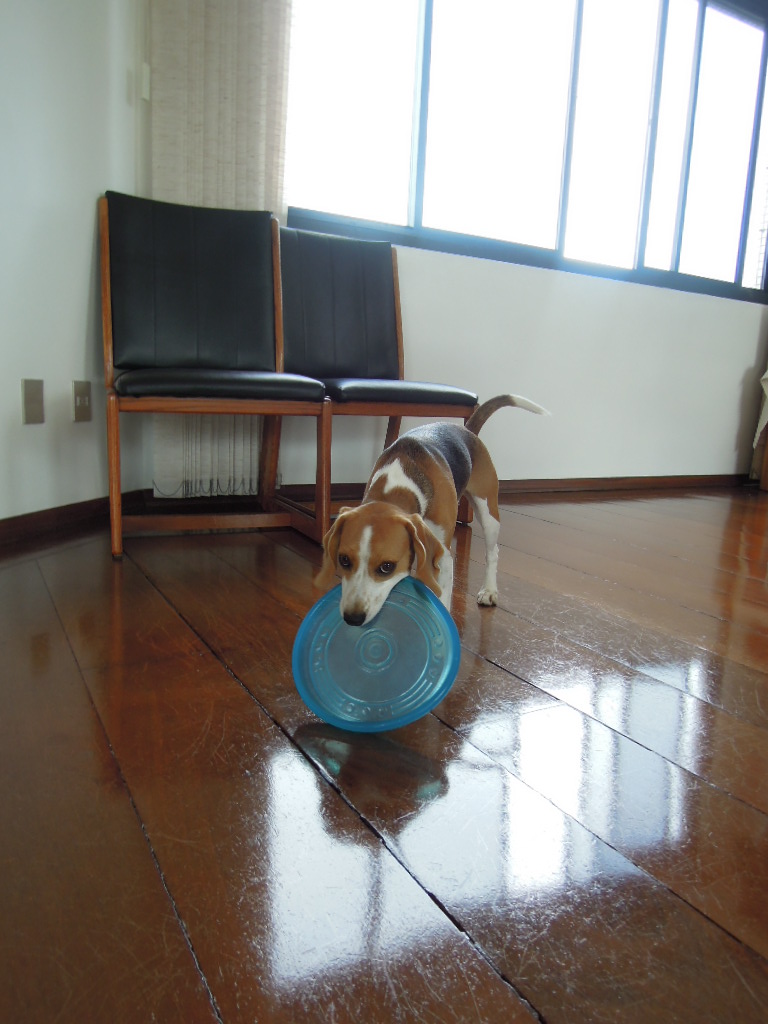 DSCN7846.jpg