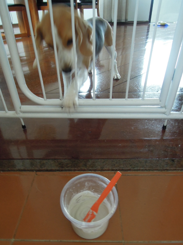 DSCN7880.jpg