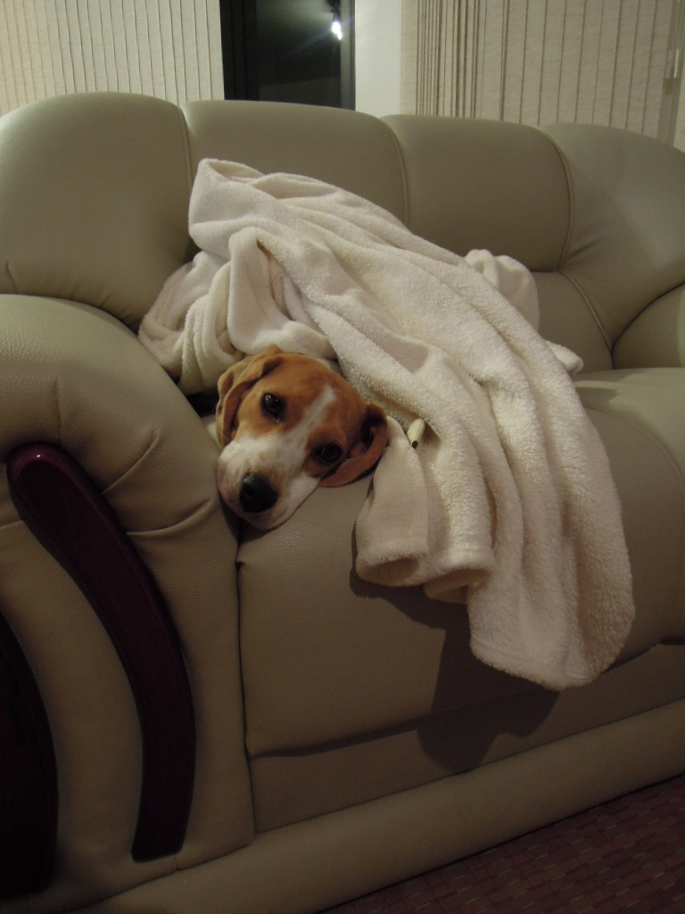 DSCN7907.jpg