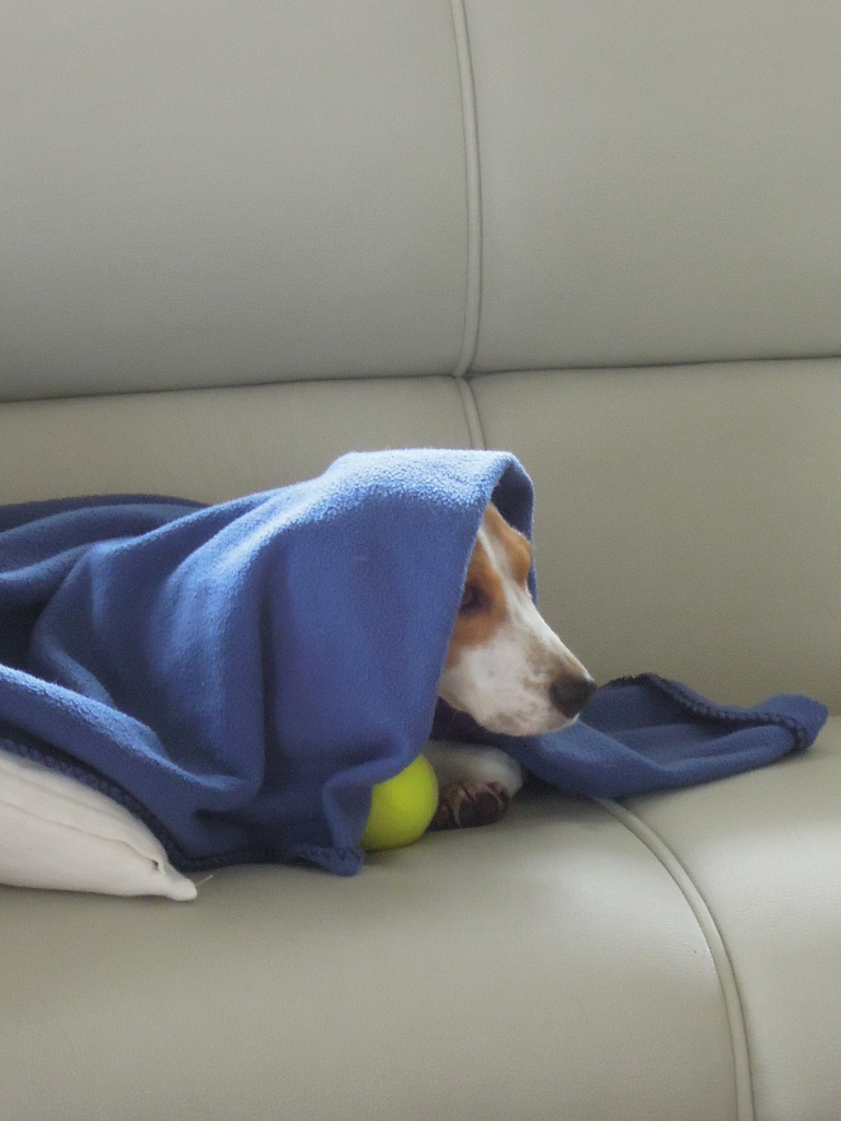 DSCN7909.jpg