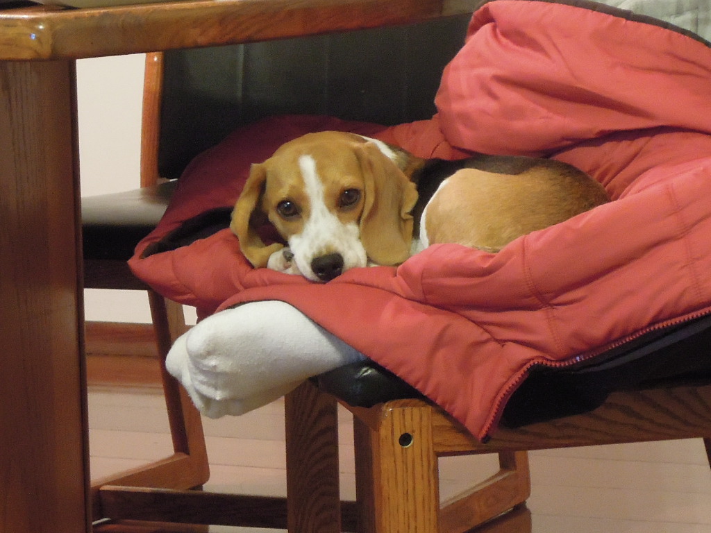 DSCN7925.jpg