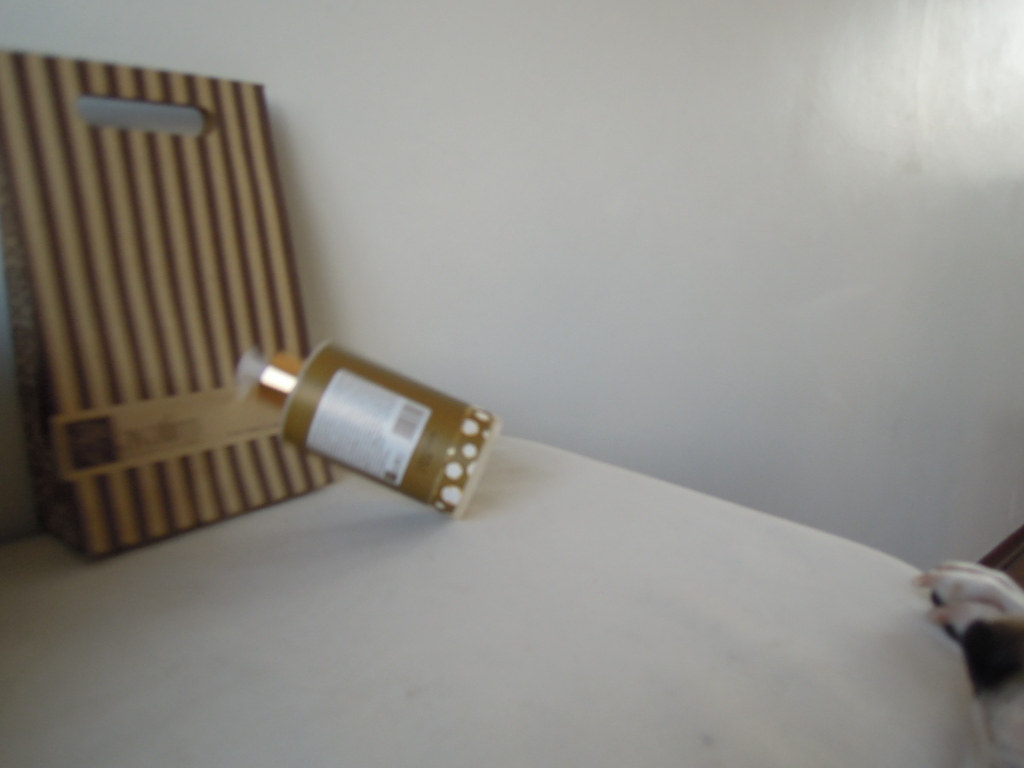 DSCN7985.jpg