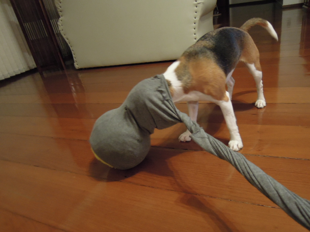 DSCN8001.jpg