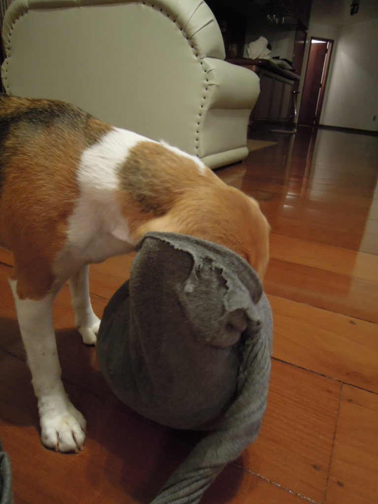DSCN8003.jpg