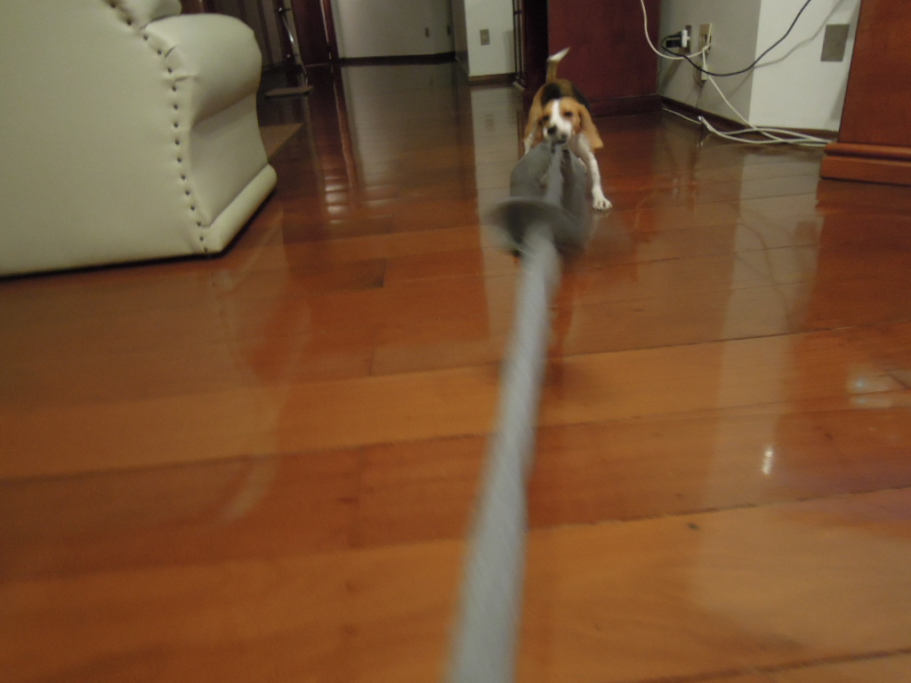 DSCN8005.jpg