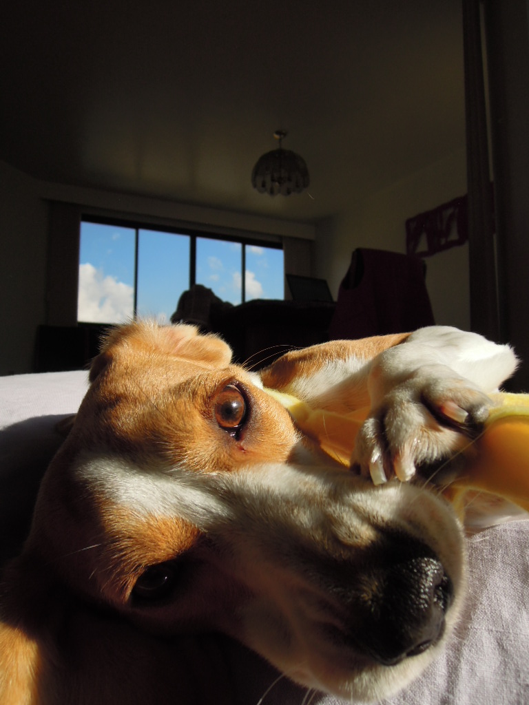 DSCN8017.jpg