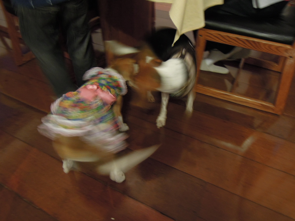 DSCN8085.jpg