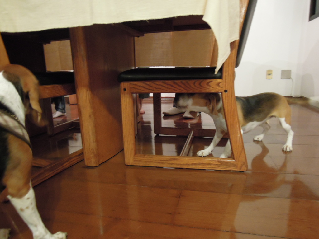 DSCN8098.jpg