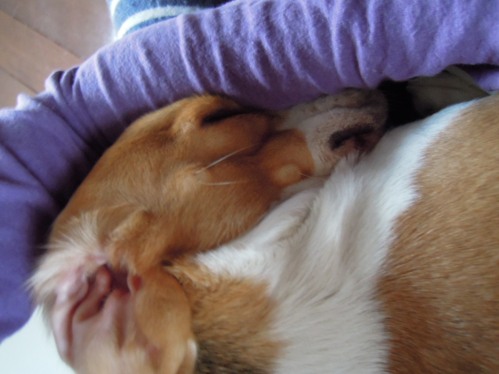 DSCN8138.jpg