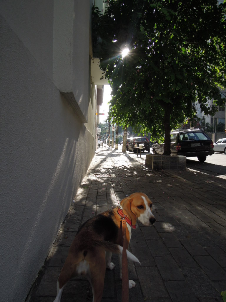 DSCN8181.jpg