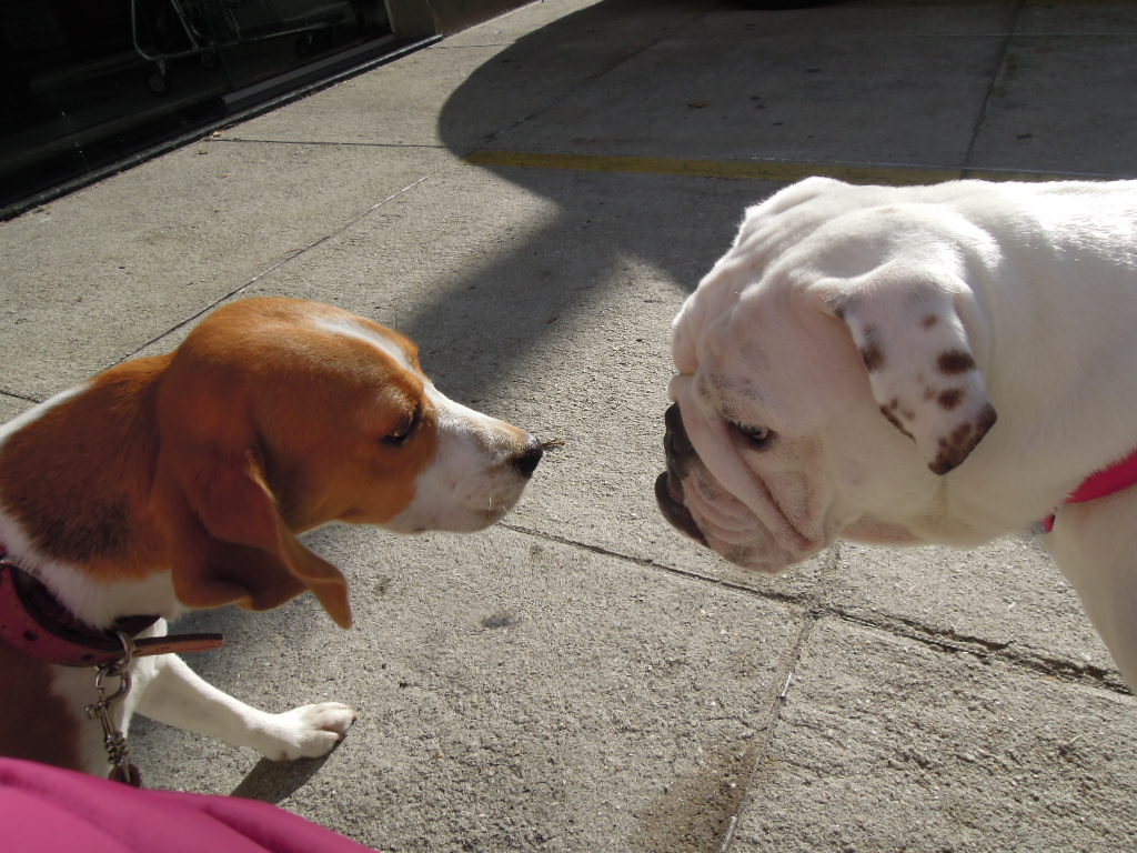 DSCN8192.jpg
