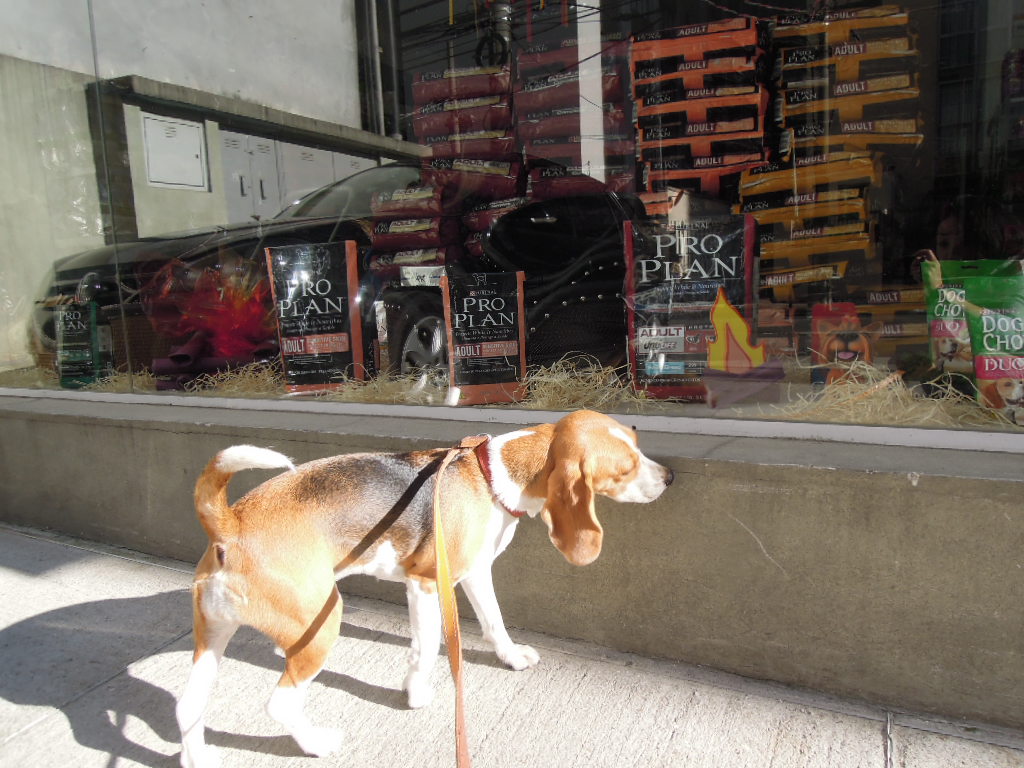 DSCN8195.jpg