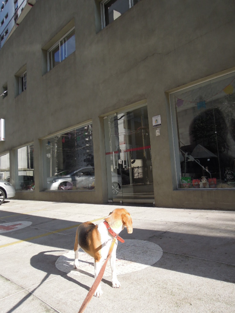 DSCN8198.jpg