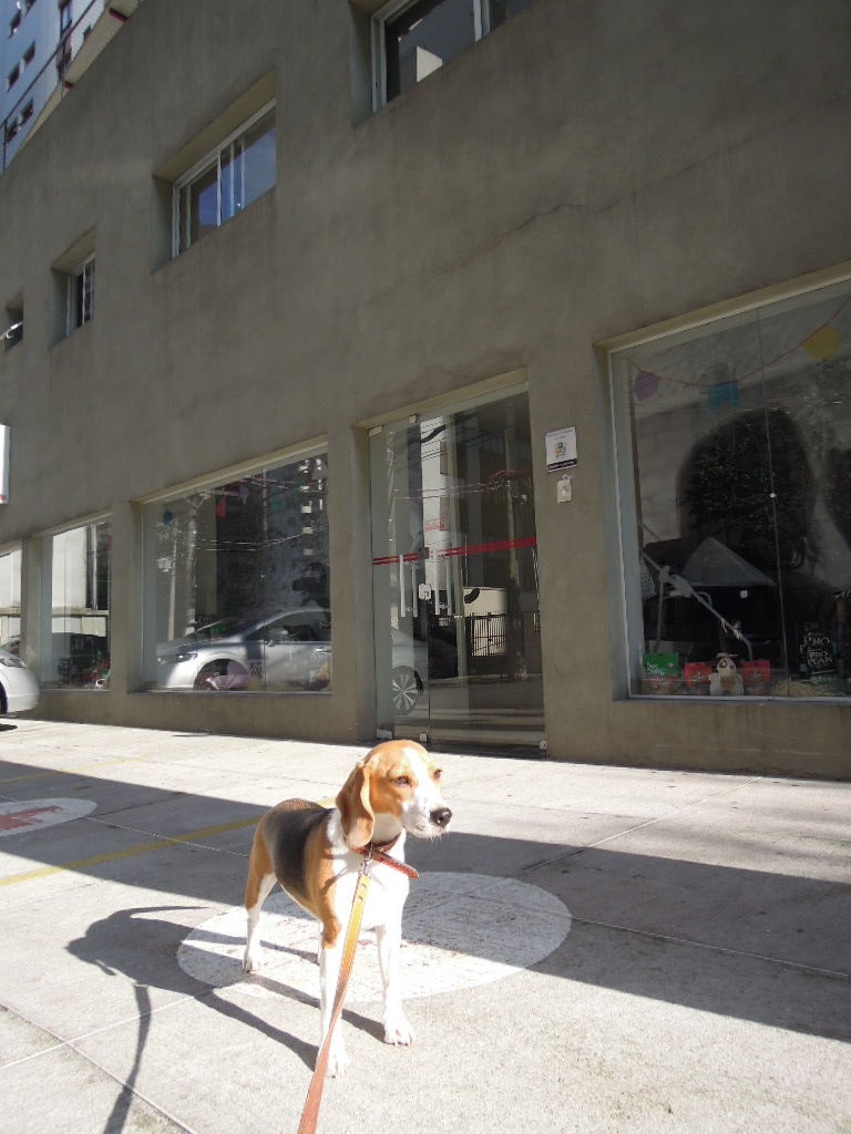 DSCN8200.jpg