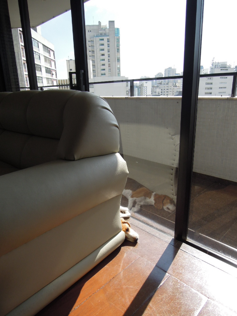 DSCN8208.jpg