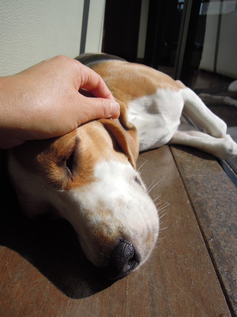 DSCN8209.jpg