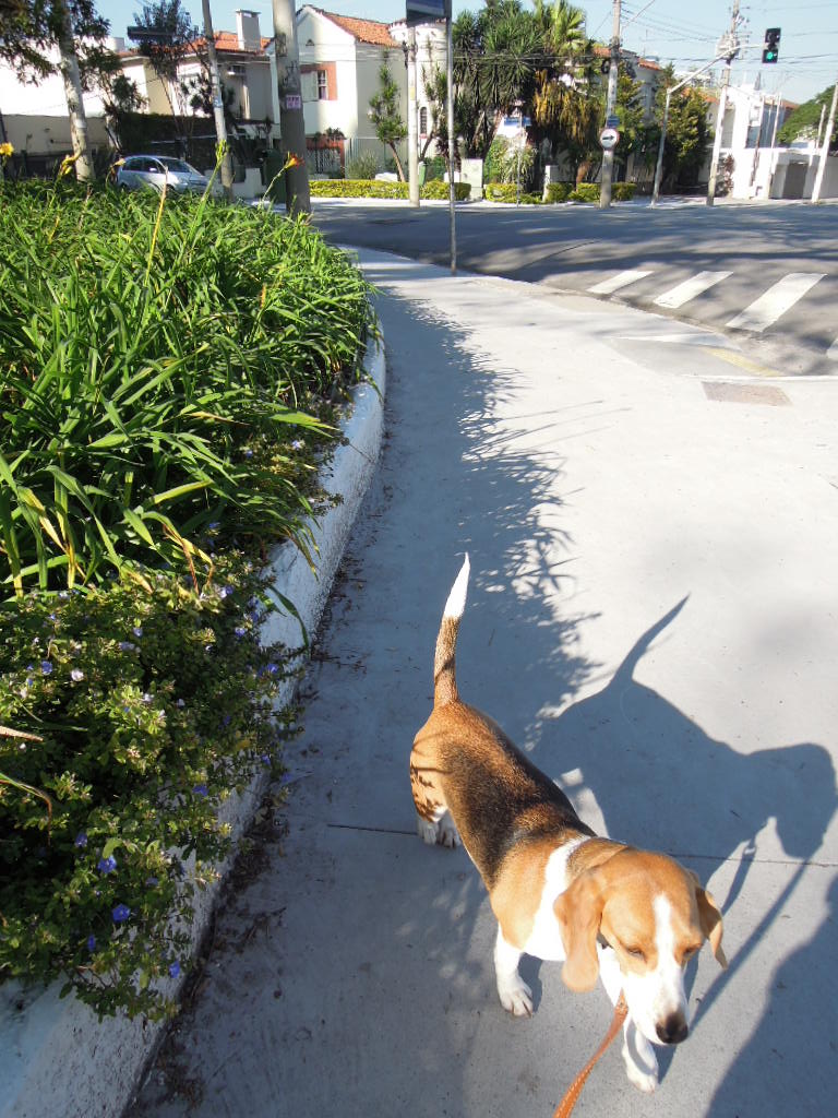 DSCN8286.jpg