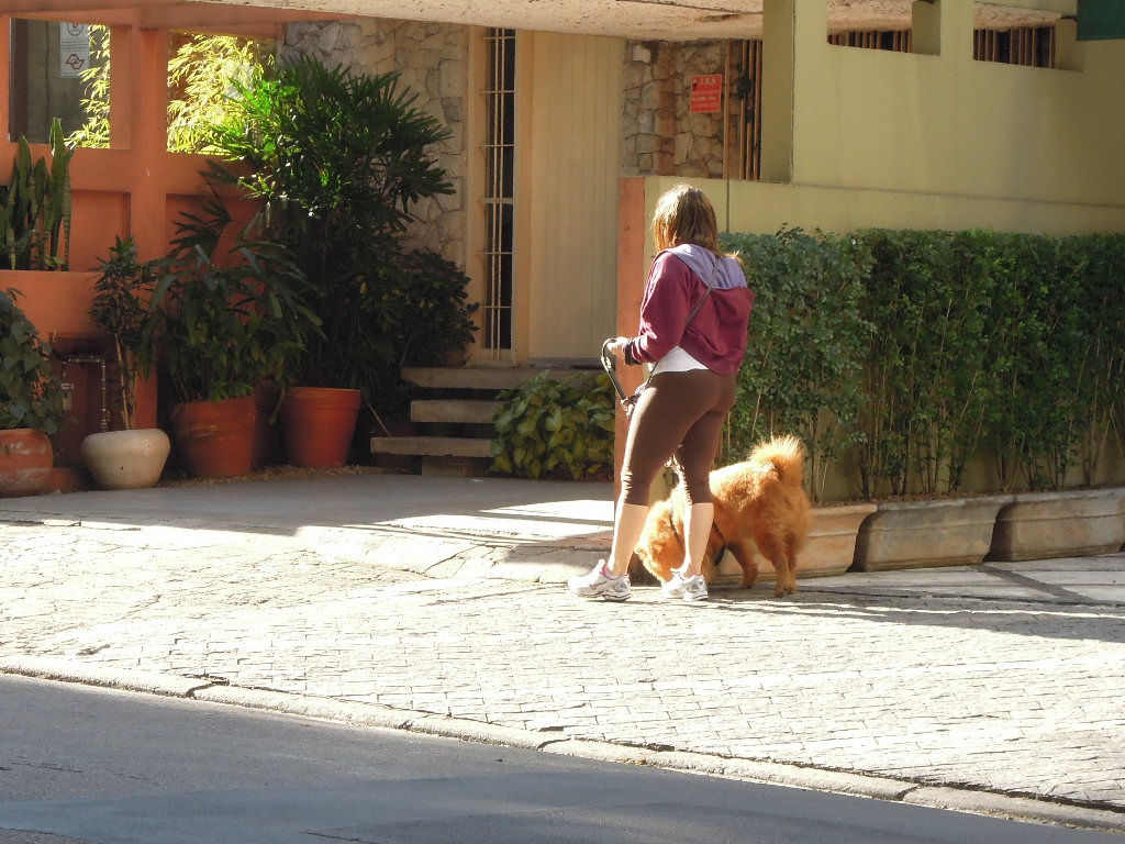 DSCN8287.jpg