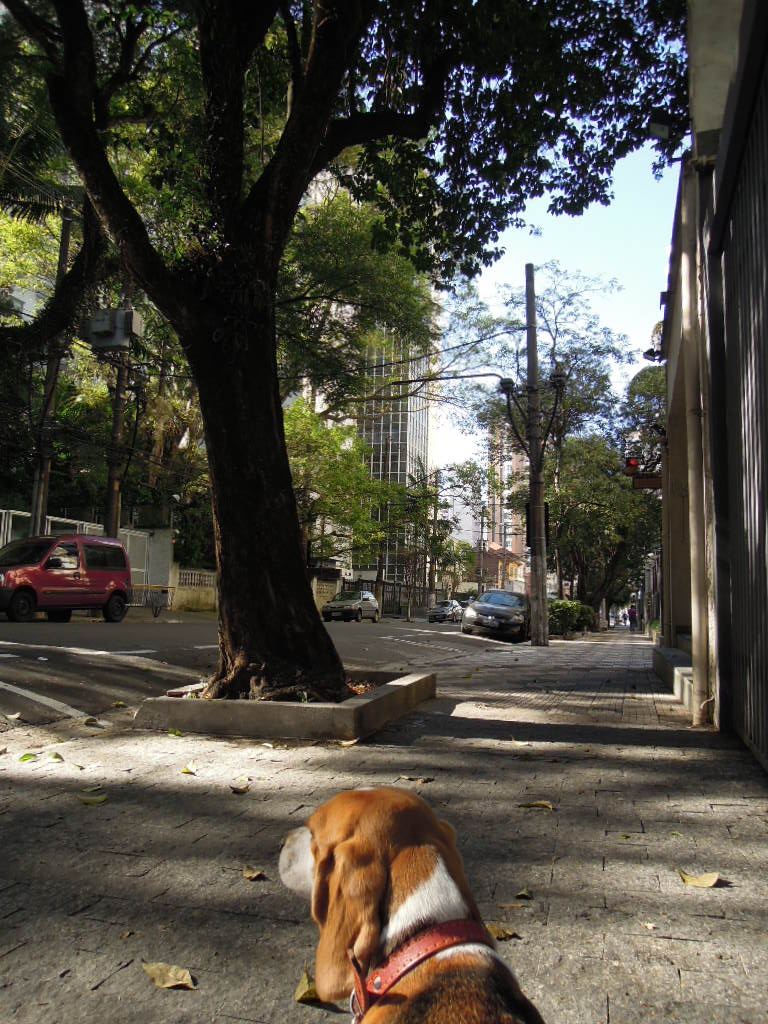 DSCN8292.jpg