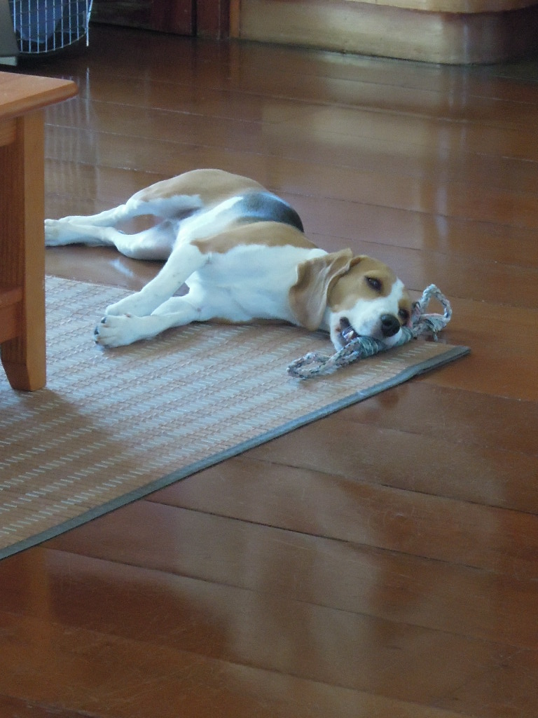 DSCN8315.jpg