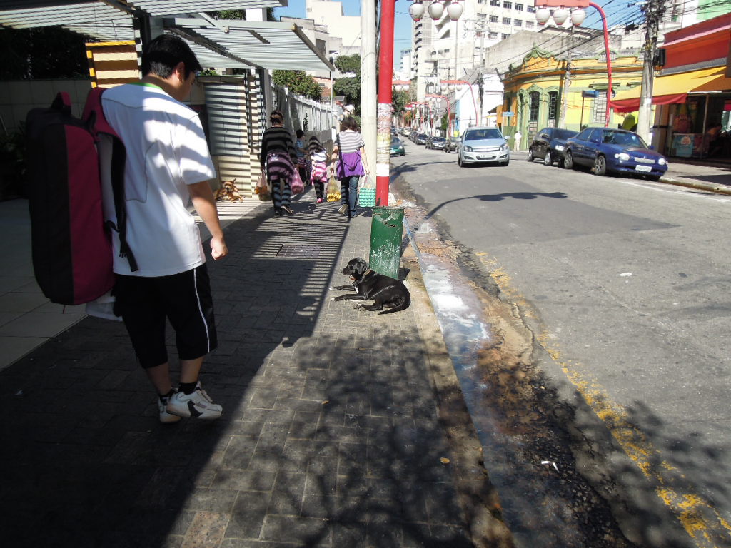 DSCN8324.jpg