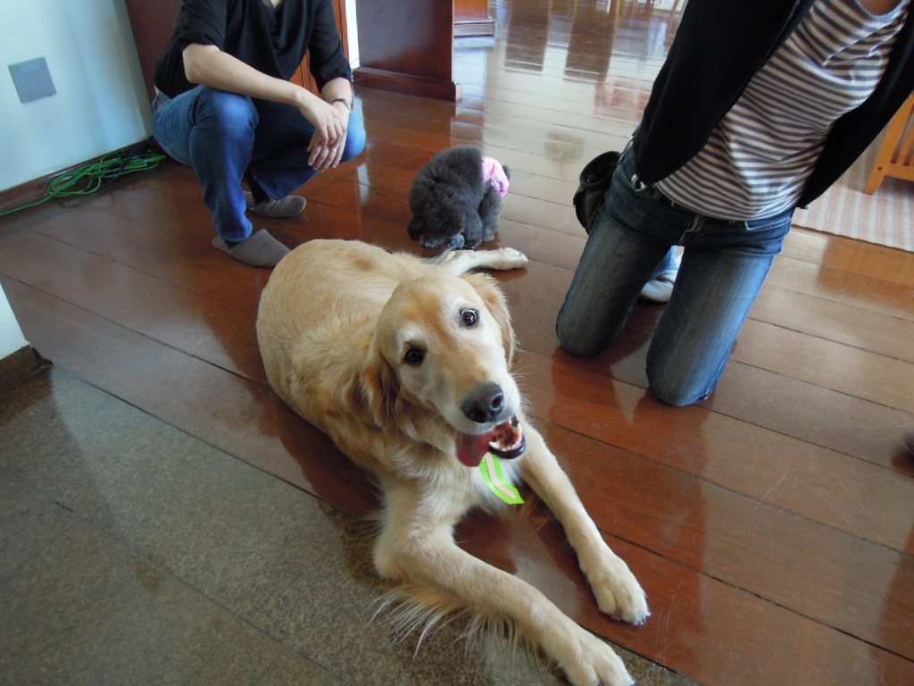 DSCN8346.jpg