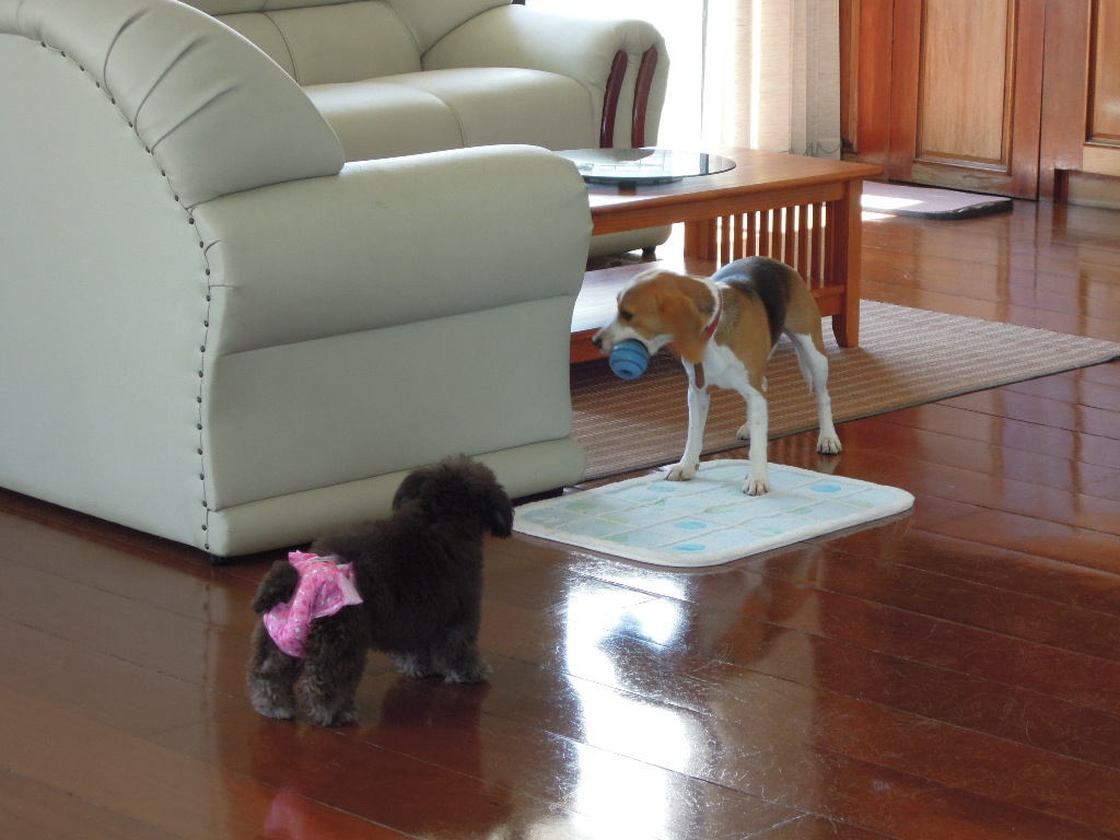 DSCN8381.jpg