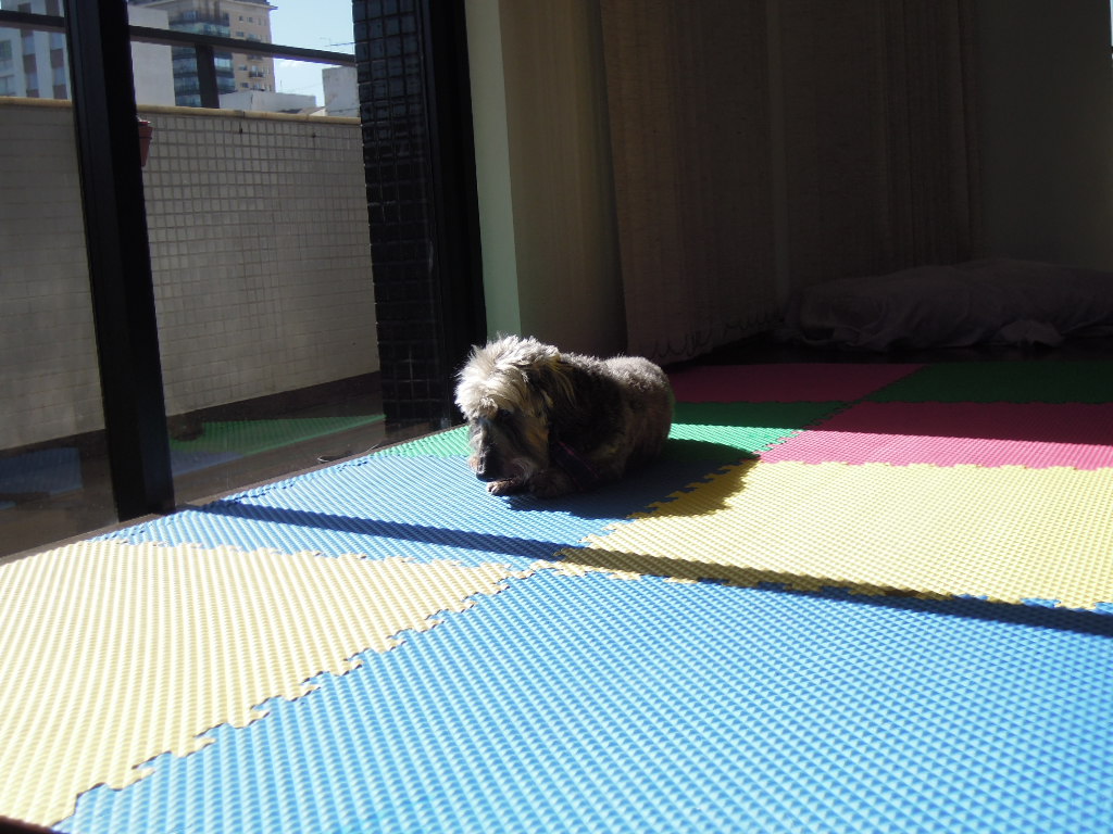 DSCN8394.jpg