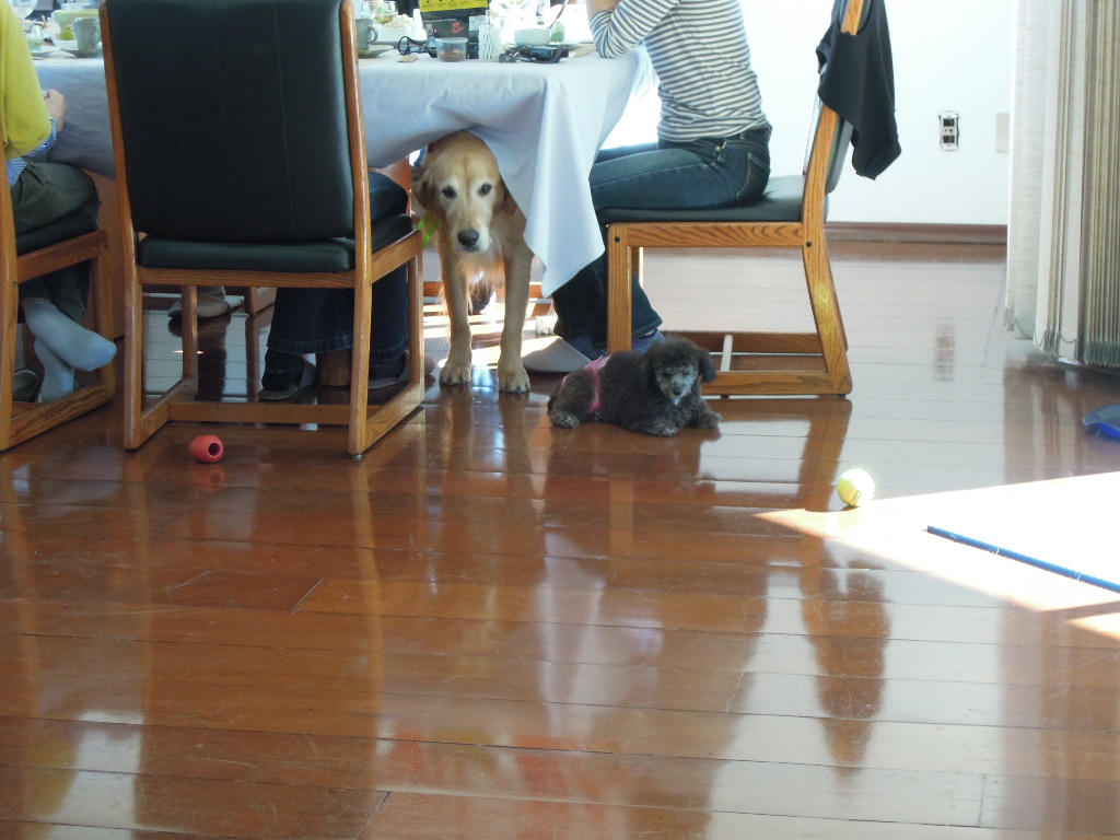 DSCN8398.jpg