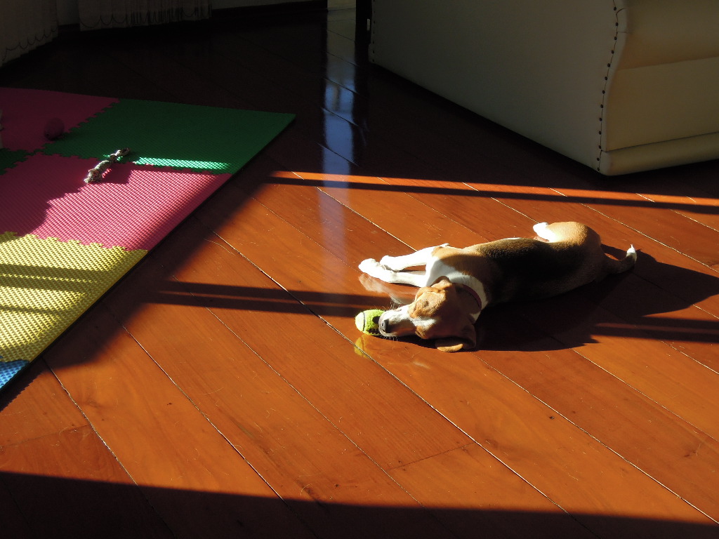 DSCN8418.jpg