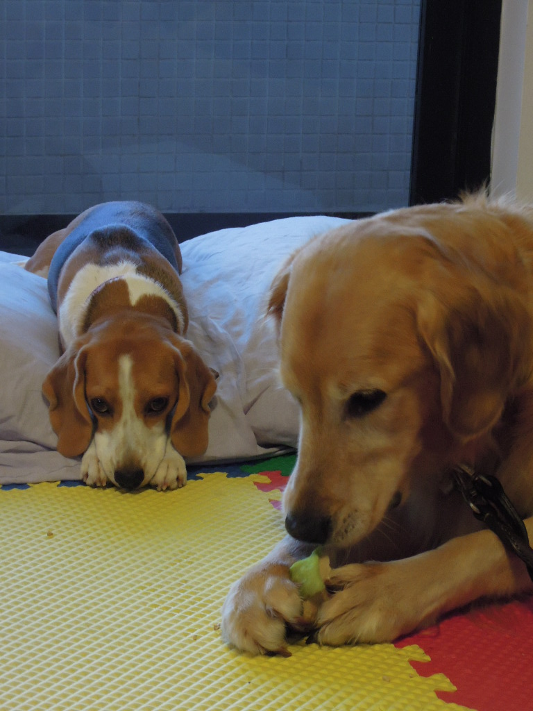 DSCN8453.jpg