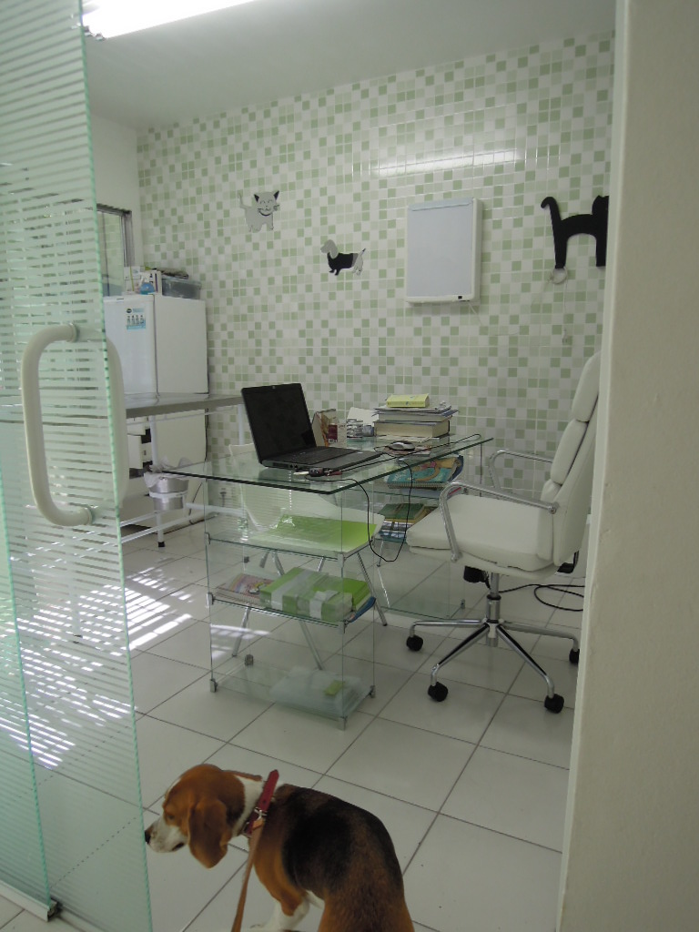 DSCN8473.jpg