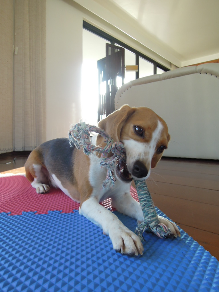 DSCN8513.jpg