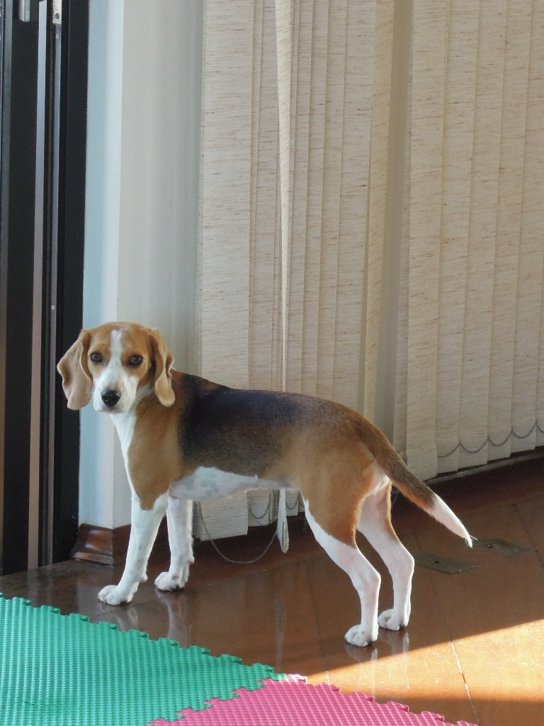 DSCN8519.jpg