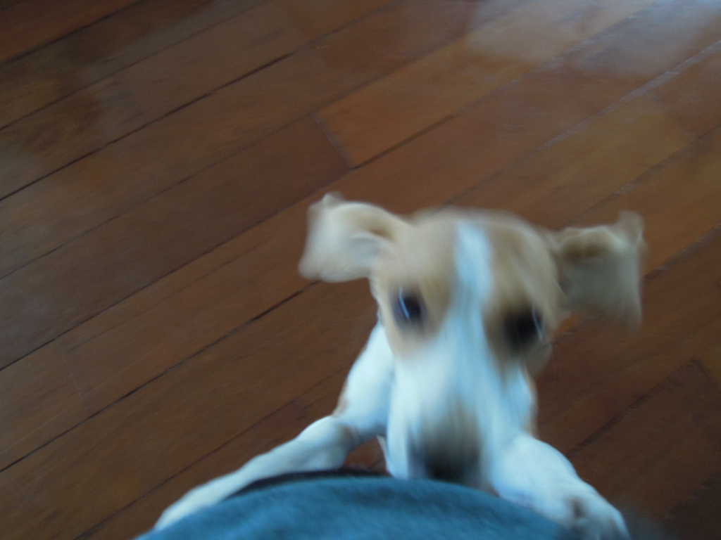 DSCN8555.jpg