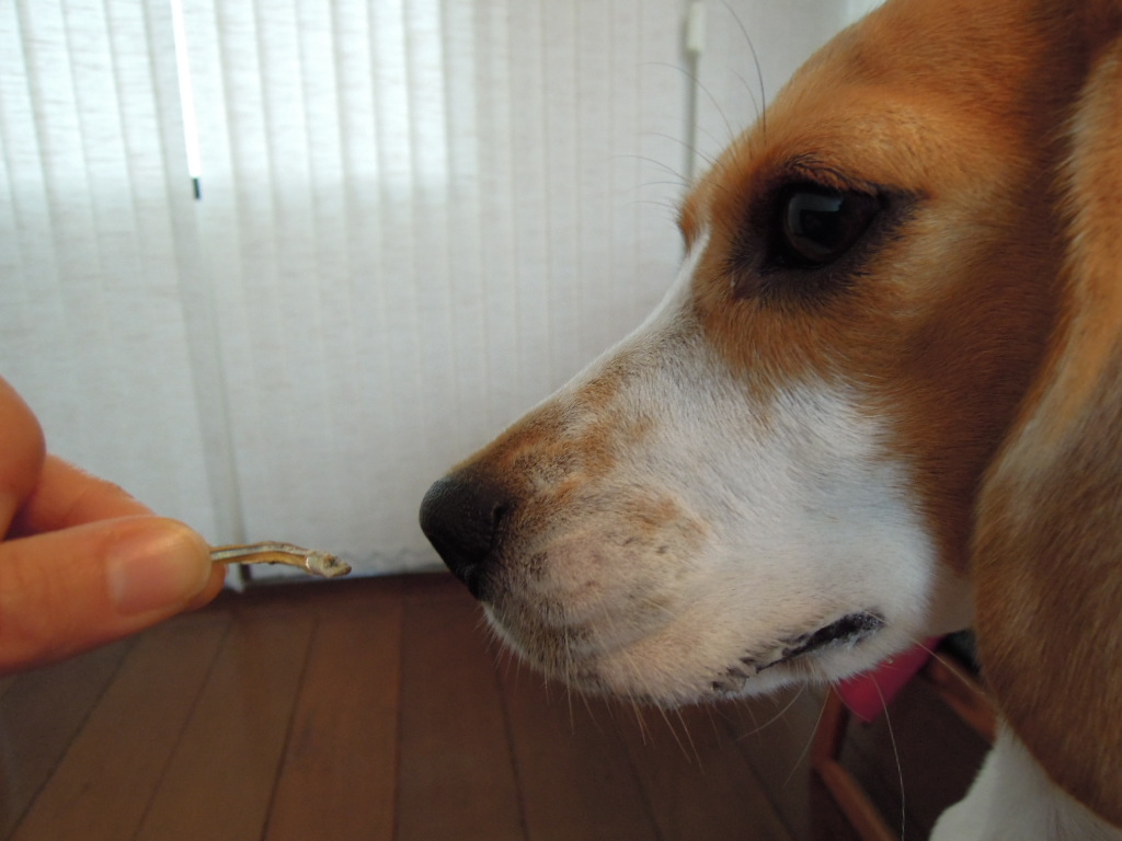 DSCN8569.jpg