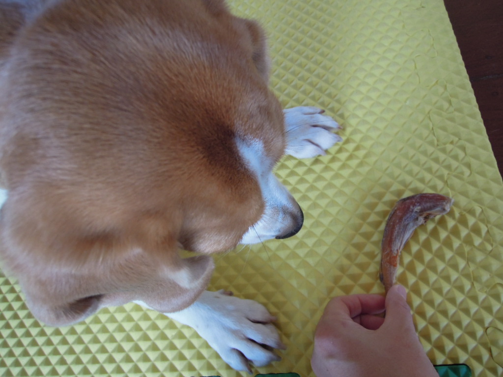 DSCN8609.jpg