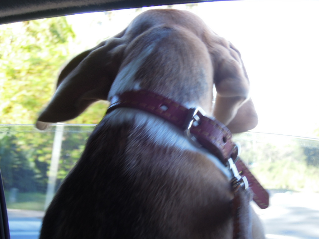 DSCN8613.jpg