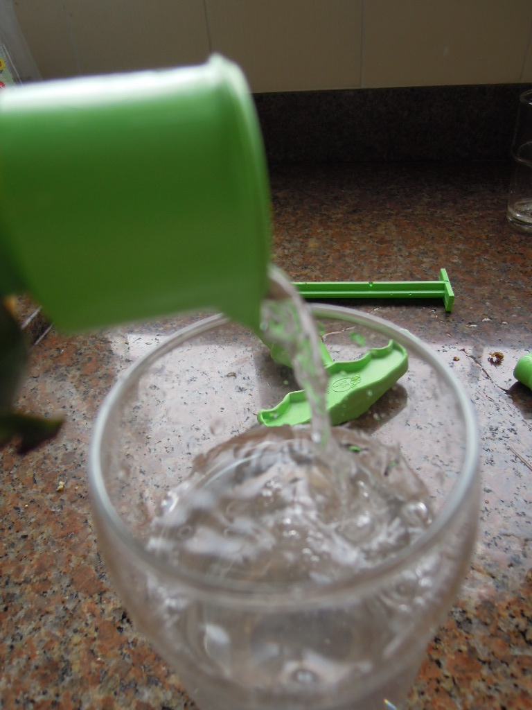 DSCN8701.jpg