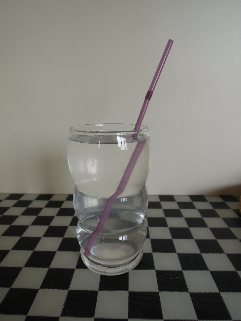 DSCN8703.jpg