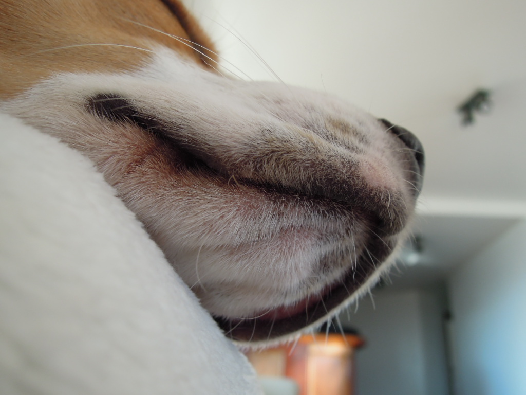 DSCN8712.jpg